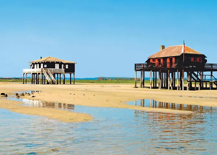 Maison Familiale à : 3 Chambres, Jardin Sous Les Pins, Wifi Fibre, Proche Et Centre - Fr-1-420-145 *