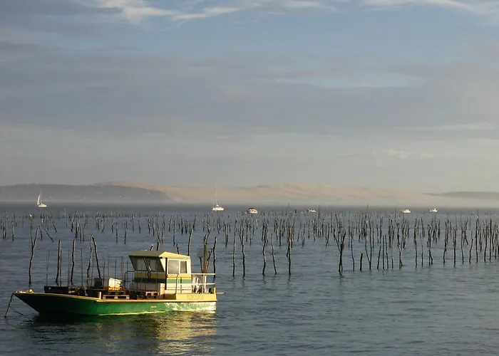 Maison Familiale A : 3 Chambres, Jardin Sous Les Pins, Wifi Fibre, Proche Et Centre - Fr-1-420-145 펜션 아르카숑