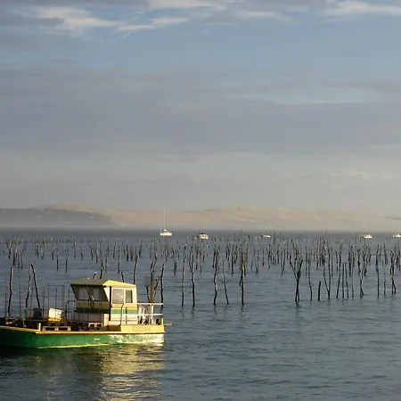 Maison Familiale A : 3 Chambres, Jardin Sous Les Pins, Wifi Fibre, Proche Et Centre - Fr-1-420-145 Holiday home *